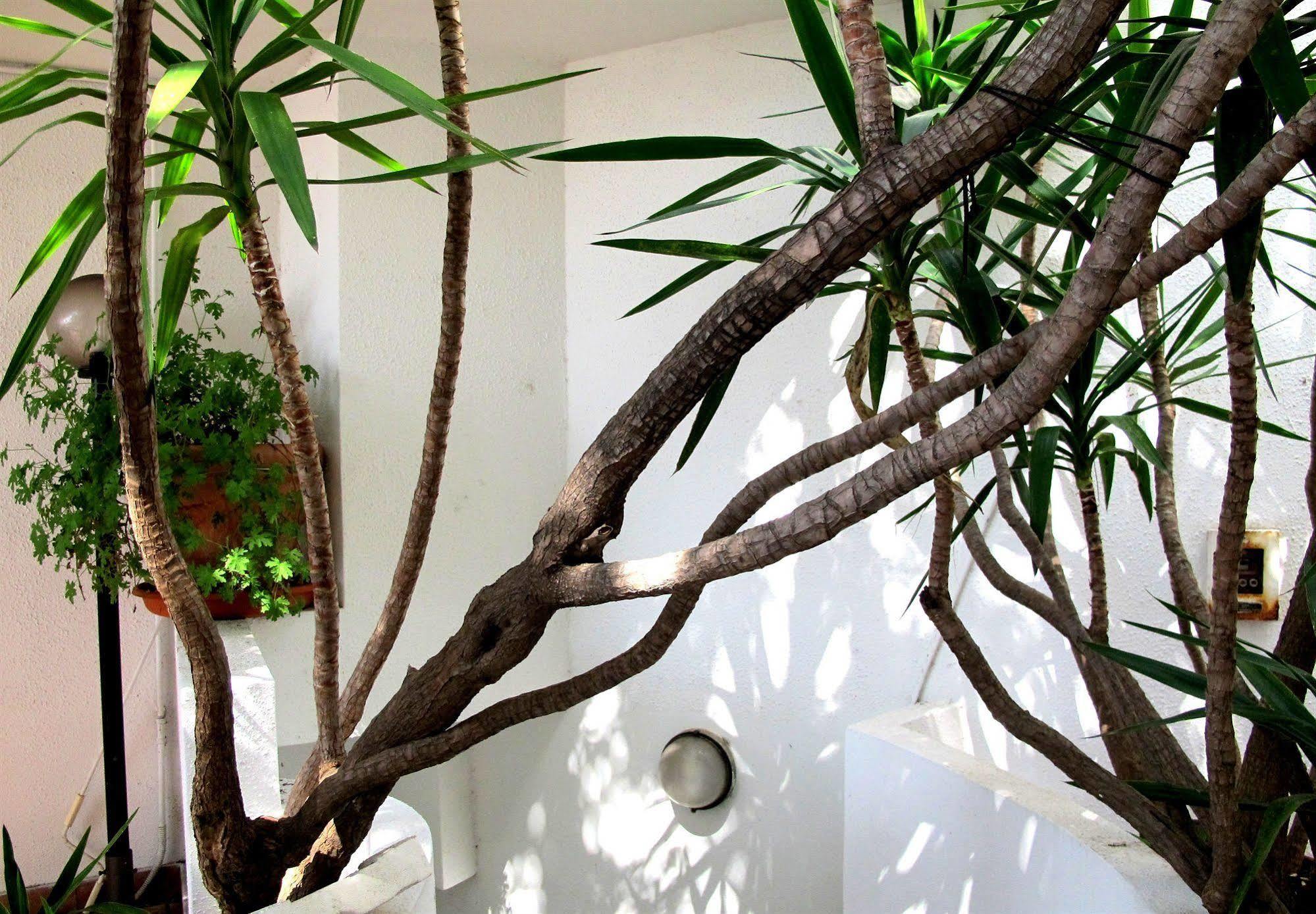 Hotel Pop Cala Gonone Exterior photo